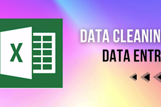 do excel data cleaning, data formatting,related all services