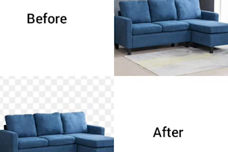 150 images  background removal