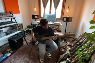 record your professional bass and analog synth bass