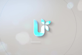 create professional logo animation, youtube intro, outro for your brand
