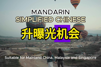 do english to chinese translation for tiktok refugees