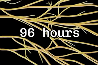 high impact 3d medical animations anatomy, surgical, pharma, biomedical visuals