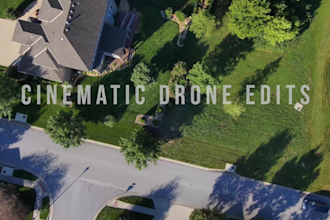 do professional video editing within 24 hours