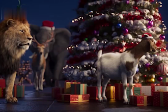 render realistic 3d animal model, cgi animal animation, xgen fur, 3d rigging