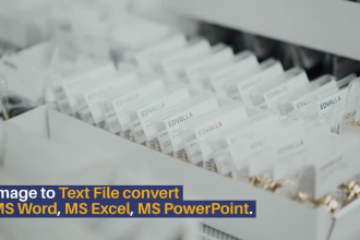 do professionally file conversion from PDF to any formate