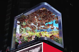 3d billboard animation 3d anamorphic 3d cgi 3d led screen 3d product animation