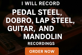 record pedal steel, dobro, lap steel, mandolin, and guitars for your song