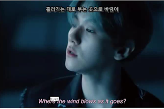 create subtitles or srt for video in english,korean,urdu