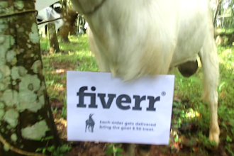 add your message as a neck tag for my goat