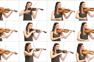 record real high quality  strings section