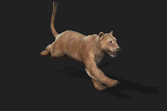 render 3d realistic animal, fox model and animation, 3d character design, xgen