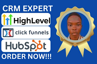 setup gohighlevel voice ai expert clickfunnel funnels hubspot automation expert
