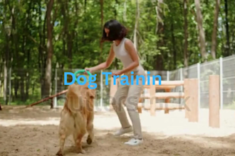 write an eye catching article and blog about dogs