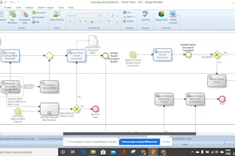 model advanced and detailed business process diagrams bpmn2