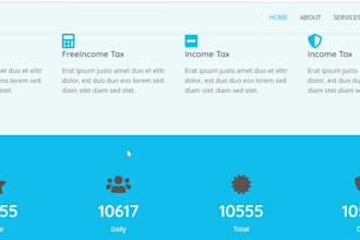 create custom shopify website design, website devlopment