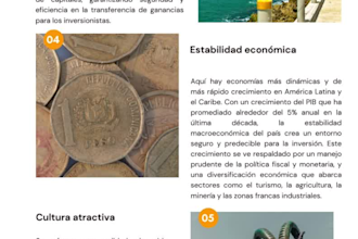 create professional guides with eye catching visuals
