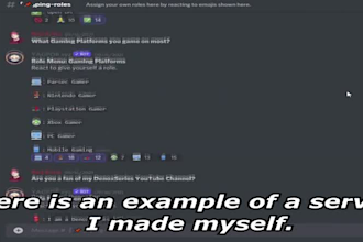 create a professional looking discord server for you