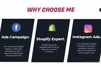 do premium facebook and instagram ads setup for maximum ROI