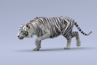 design 3d animal model rigging 3d dragon animal animation 3d dinosaur 3d unwrap