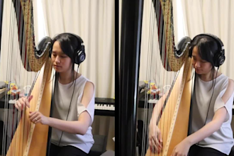 record high quality harp sounds