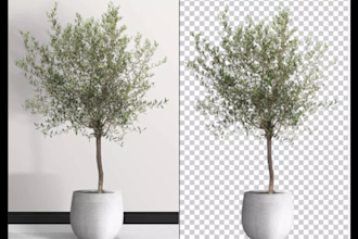 do photo background removal, cut out images, photo editing
