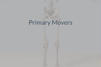 do 3d medical animations for healthcare products, medical demonstration