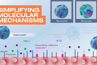 create short explanatory science related videos