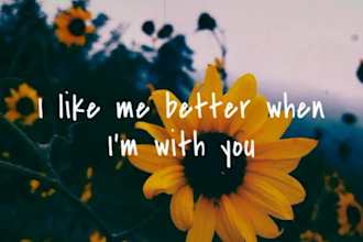 make a simple aesthetic lyric video in 24 hours