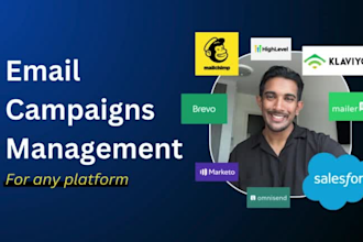 manage email campaigns on klaviyo, mailchimp, gohighlevel etc