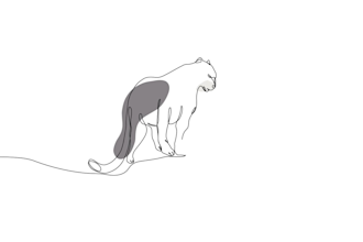 draw continuous one line art animations