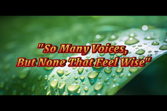 be your vocalist male female country singer,  country lyrics, music producer