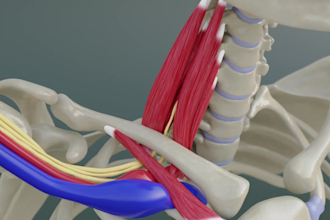 create a short animation for your medical or product needs