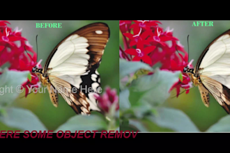 add or remove person or object from the image