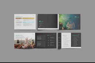 design a professional pitch deck and powerpoint presentation