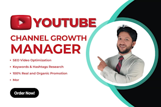 be your youtube channel promotion manager and video SEO expert