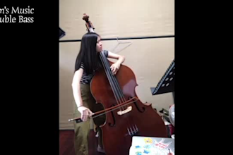 play professional double bass and records for you
