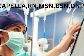 do capella, bsn,msn and dnp nursing and public health articles