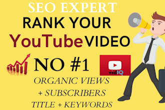 do best youtube video SEO for organic growth