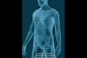 do the medical animation