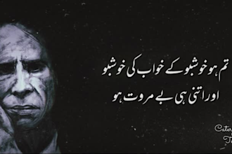 do urdu hindi male voiceover for videos, ads and stories