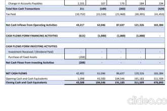 prepare financial projections, forecast and financial statements