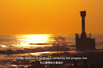 make synced subtitles for your chinese, french or english video
