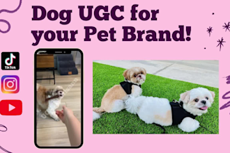 create engaging ugc for your dog product or pet brand for tiktok