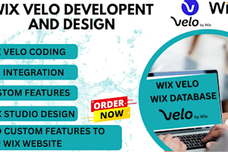 wix velo code, custom wix website wix velo code development