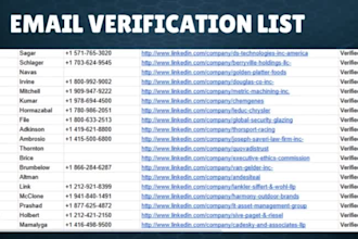 verify clean bulk email lists for high performing campaigns