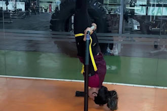 be your virtual personal trainer in live sessions
