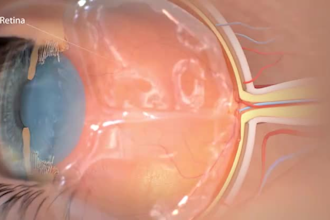 create custom medical and science animation video