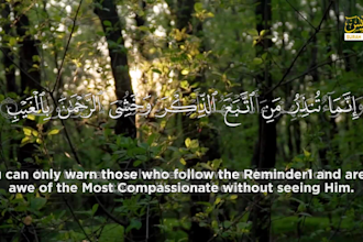 edit videos of quran recitation with subtitles,  translation