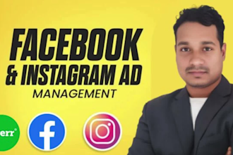 set up facebook and instagram ads for leads and sales your business