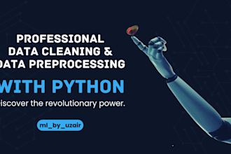 be your data cleaning and preprocessing expert in python